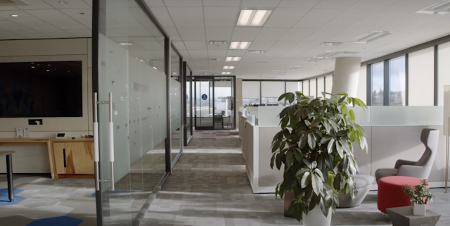 interior designed office space